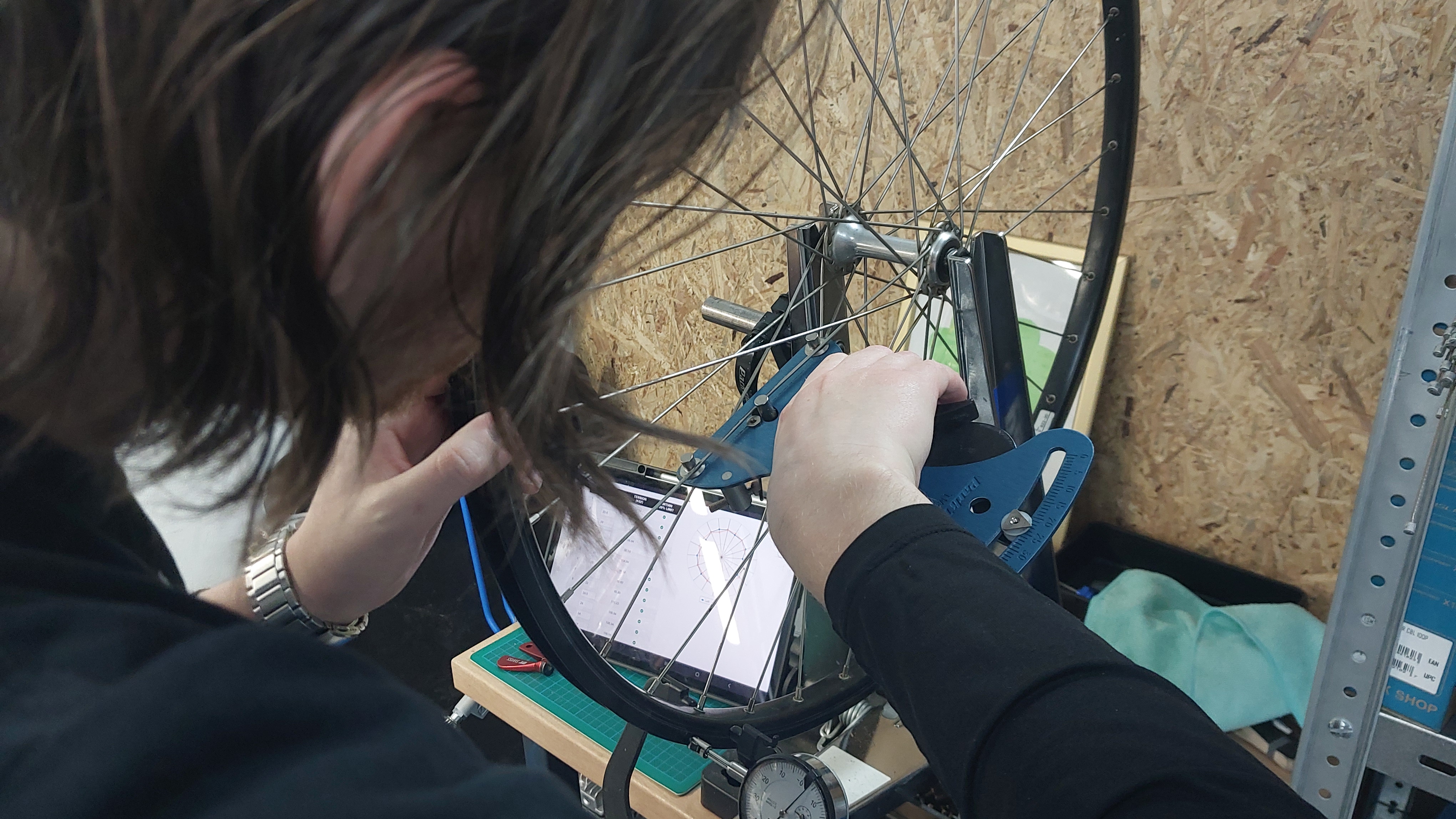 Restoration Project 3